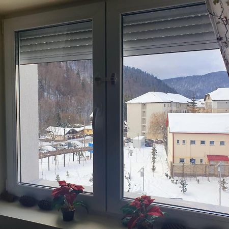 Studio 41 Азуга Экстерьер фото