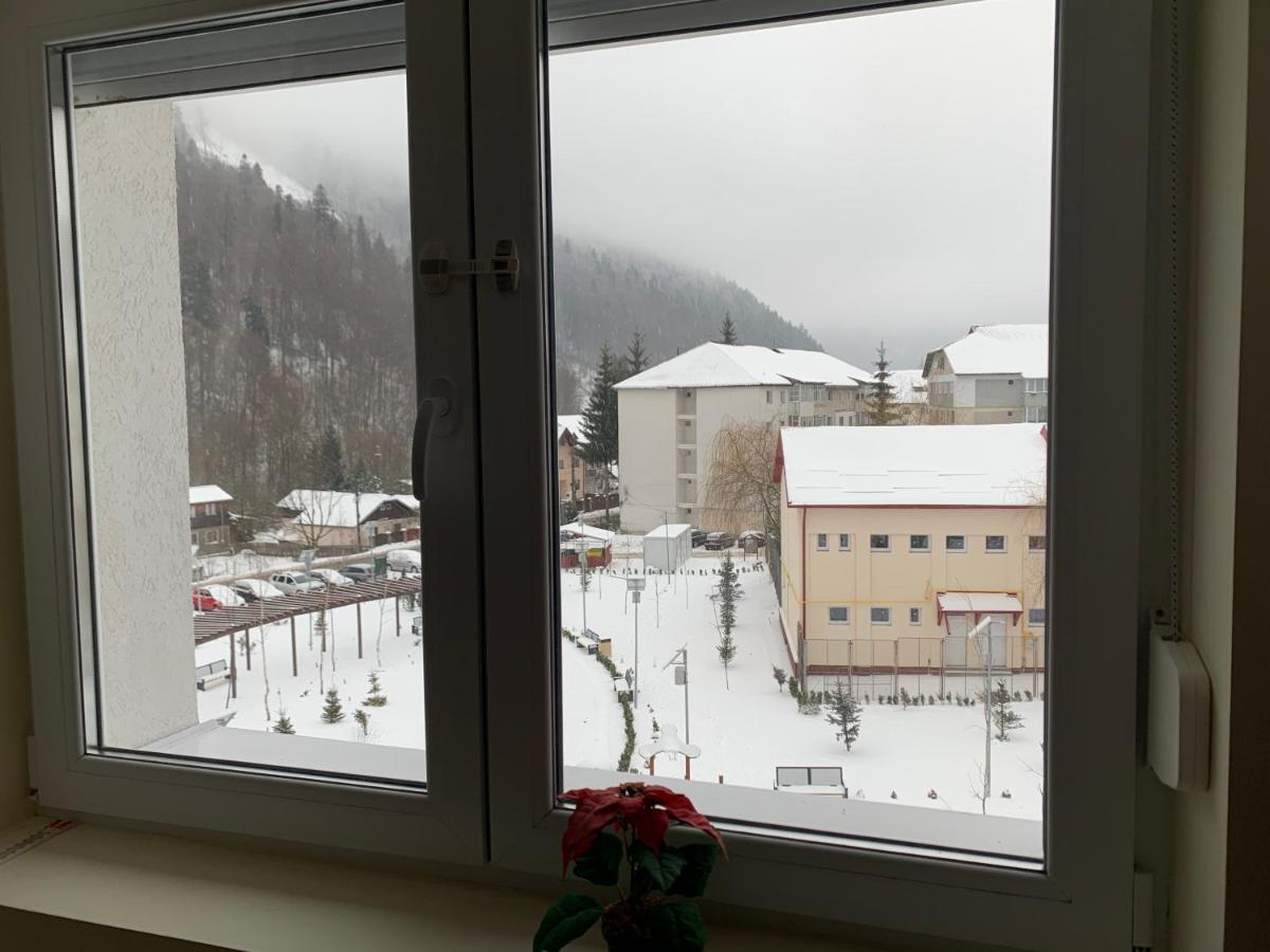 Studio 41 Азуга Экстерьер фото