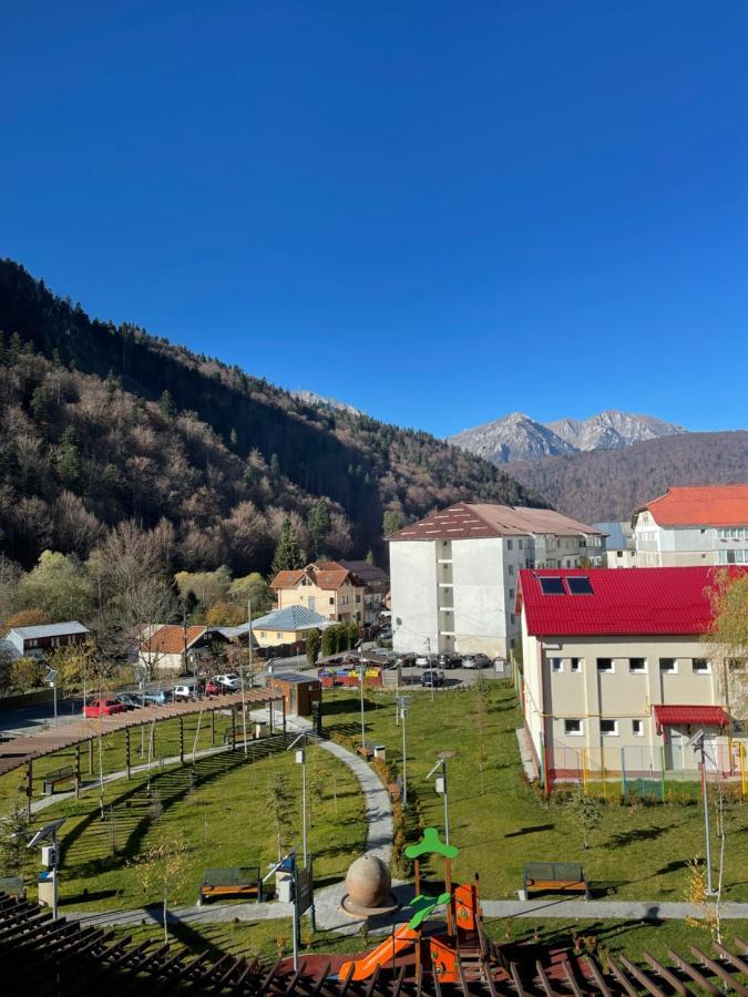 Studio 41 Азуга Экстерьер фото