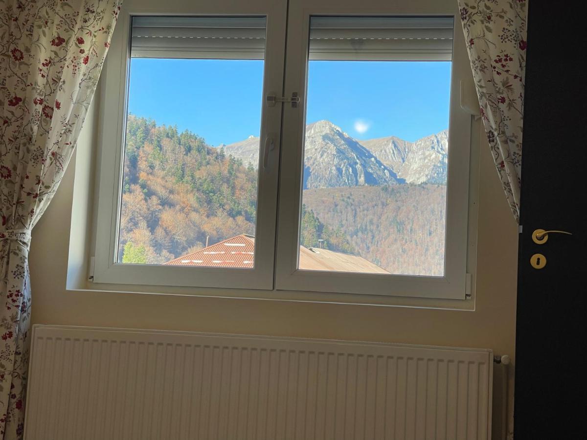Studio 41 Азуга Экстерьер фото
